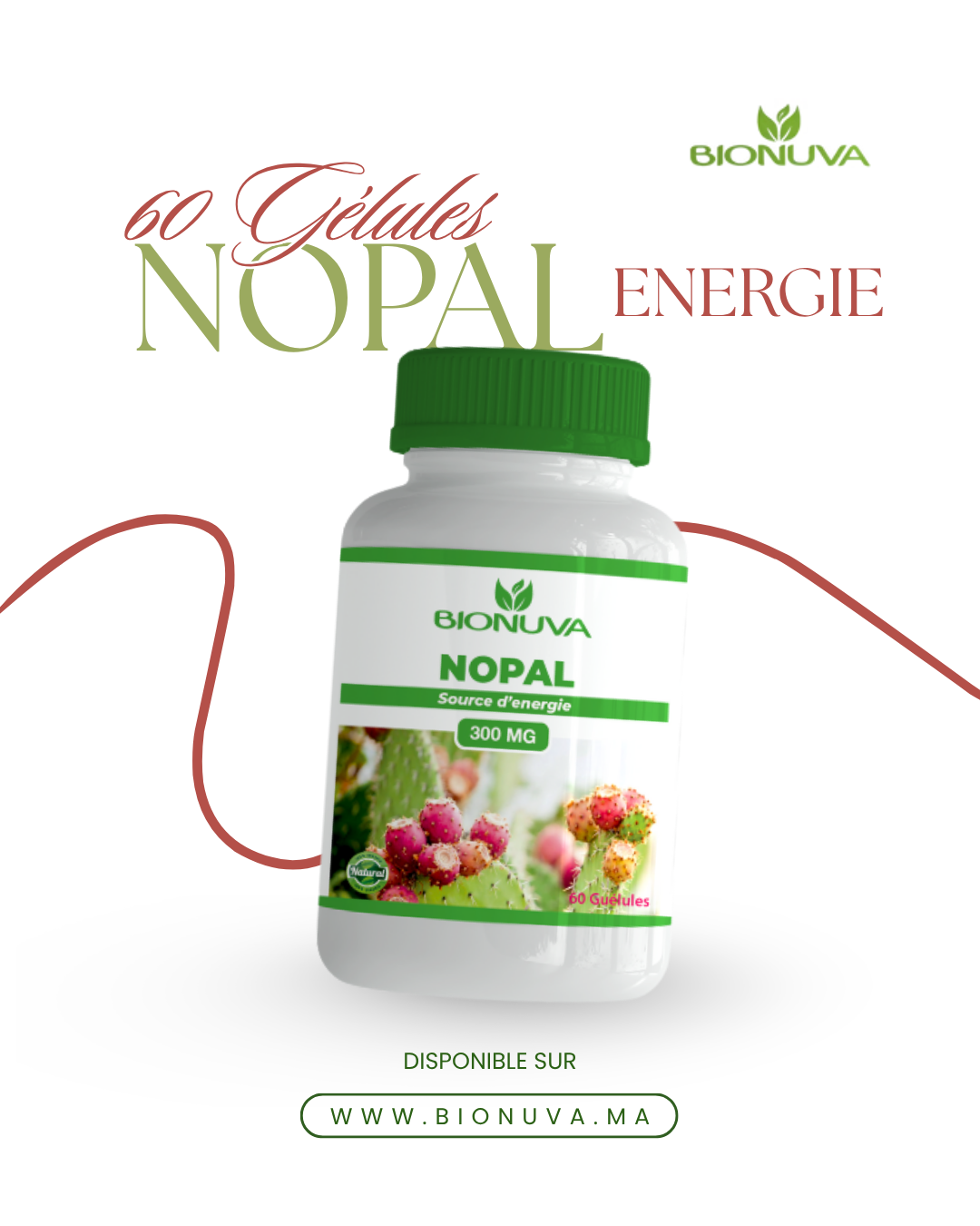 BIONUVA NOPAL • Capteur de Graisses & Sucres • 60 Gélules