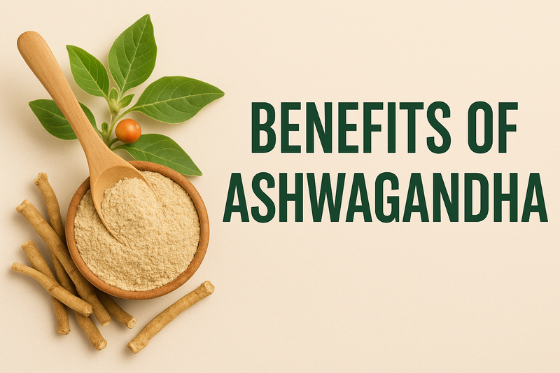 Ashwagandha : Calme et équilibre au naturel