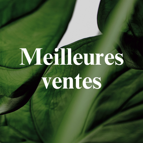 Meilleures ventes