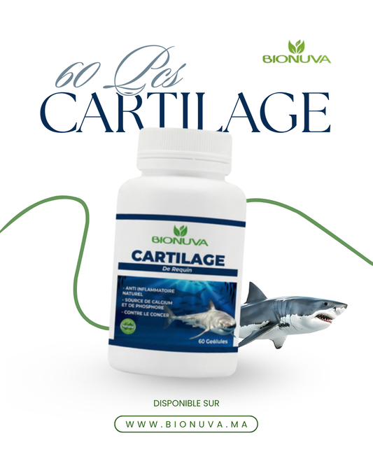 BIONUVA CARTILAGE DE REQUIN 60 GÉLULES