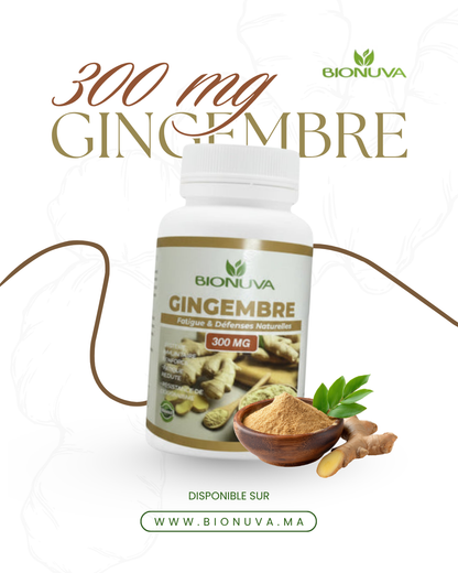 Gingembre Bionuva 300mg – Digestion, Énergie & Immunité (60 gélules)