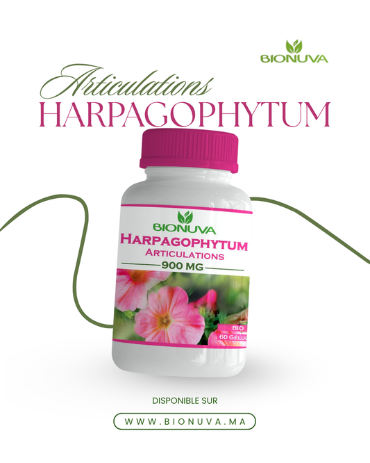 BIONUVA HARPAGOPHYTUM • Confort Articulaire & Souplesse • 60 Gélules