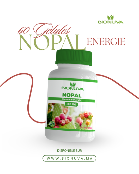 BIONUVA NOPAL • Capteur de Graisses & Sucres • 60 Gélules